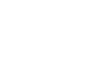 main-logo